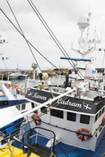 Boat in harbour