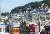 Newyln Harbour, Cornwall