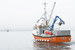 Cornish sardine boat