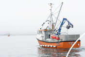 Cornish sardine boat