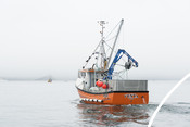 Cornish sardine boat