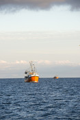 Boat at Sea, Cornwall