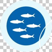 GIR 2019 impact story icons - fish