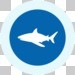 GIR 2019 impact story icons - shark