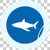 GIR 2019 impact story icons - shark