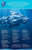 Poster: What to tell your customers look for the MSC ecolabel