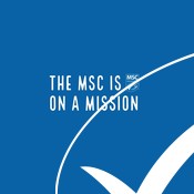 The MSC mission - LANE video, social media clip