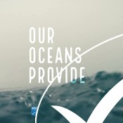 Ocean to Plate - LANE video, social media clip