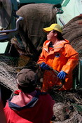 Japanese fishermen working with nets