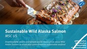 Wild Alaska Salmon toolkit