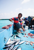 Pole and line fishing maldives group