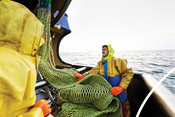 Trawling methods - Net anchor
