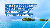 Tuna statement cards