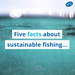 Wochit: 5 Facts about sustainable fishing...