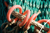 Net trawling equipment loops