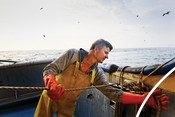 Fisherman tying rope trawling north sea