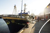 Ocean-Vision_Peterhead-Harbour