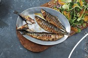 Sardines in a pan