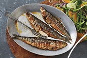 Sardines in a pan