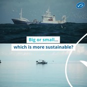 Wochit: Big VS Small - which is more sustainable?