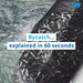 Wochit: Bycatch explained in 60 seconds