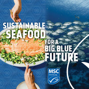 Social Media Post - Salmon, Fish - National Seafood Month Partner Resources