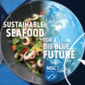 Social Media Post - Shrimp, Earth - National Seafood Month Partner Resources