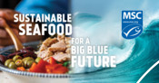 Static Digital Ad - Tuna Salad - National Seafood Month Partner Resources