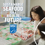 Discovery Ad Graphic (shopping for seafood) - Seafood Month Campaign