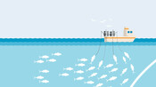 Fishing Gear Type Illustrations