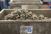 Recyclable oyster shells - USA Oyster Fishery