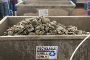 Recyclable oyster shells - USA Oyster Fishery