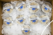 MSC Certified Prestige Oysters - USA Oyster Fishery