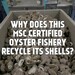 VIDEO Recycling Oyster Shells at Prestige - 9x16 and 1x1