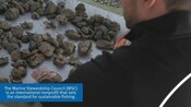 Main Video: Oyster Partner Toolkit