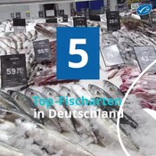 5 Top-Fischarten in Deutschland