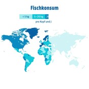 MP4: Fischkonsum weltweit
