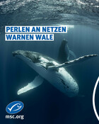 20.2. World Whale Day