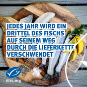 29.9. UN International Day of Awareness on Food Loss and Waste Reduction