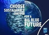 Retail Landscape Poster - World Ocean Day 22 : Choose sustainable seafood