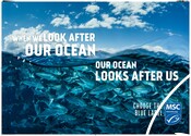 Retail Poster Landscape - World Ocean Day 22 - Shoal of fish