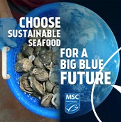 Social Media asset: Choose Sustainable Seafood