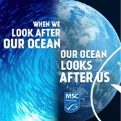 Social Media asset: When We Look After Our Ocean - Our Ocean Looks After Us