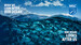 Virtual Background - World Ocean Day
