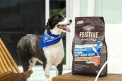 Castor & Pollux - Pet Food with Dog - Salmon - MSC Certified Product Lifestyle Photography