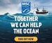 Display / Banner Ad Graphics - World Ocean Day