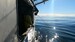 Gaffing Halibut_Tiare Boyes_2022