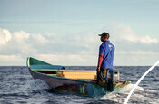 Fisherman at sea - Indonesian Tuna
