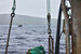 Crab fishing vessel steaming out