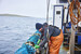 Scallop fisher working on net